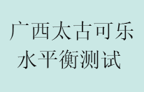 我司顺利完成广西太古可乐水平衡测试项目